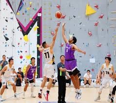 职业玩家日常：解析如何利用“冥想”与“体能训练”维持博弈时的脑部供血。（职业玩家如何借助冥想与体能训练保障对局时的脑部供血）