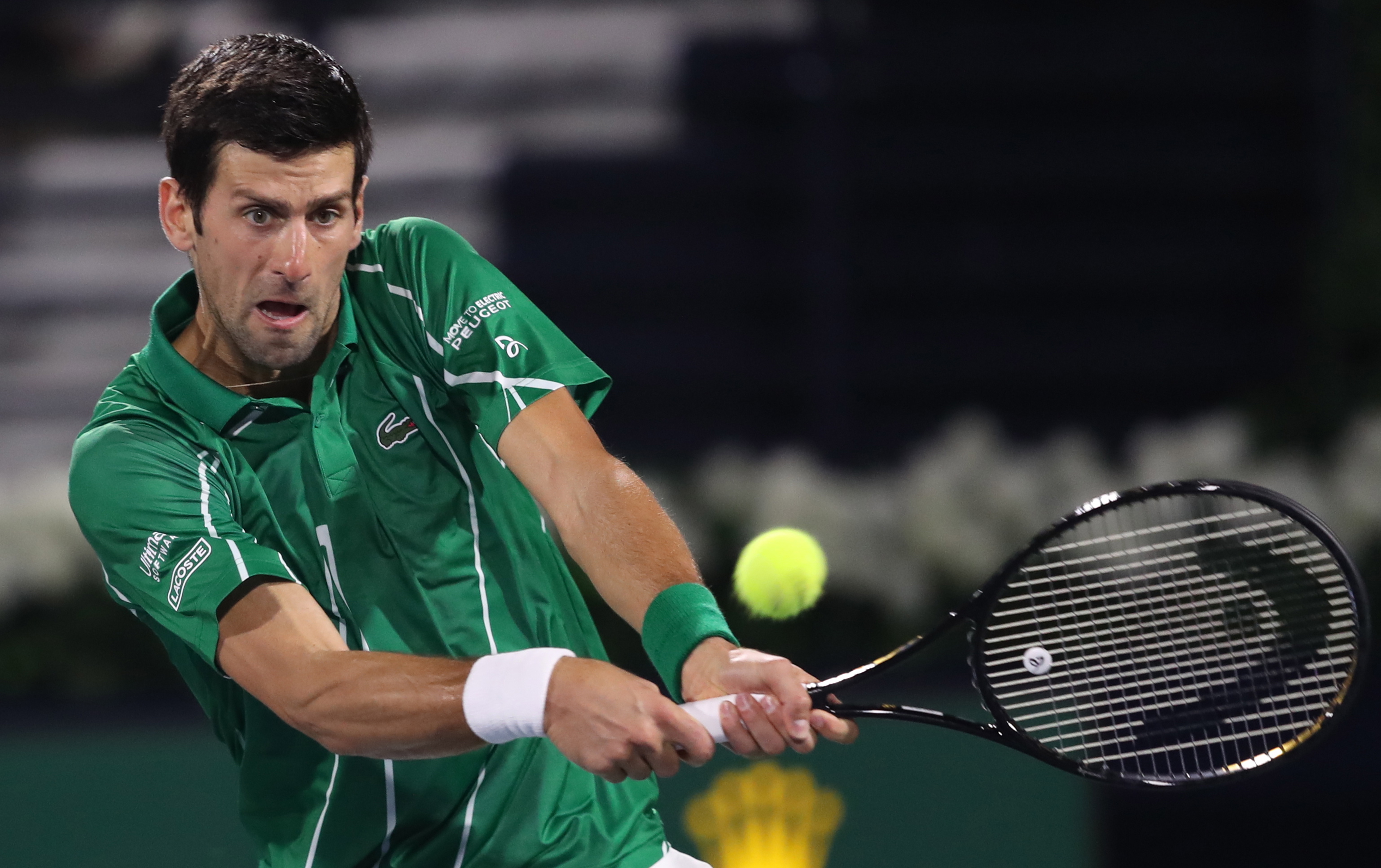 云南出新星 云南出新星